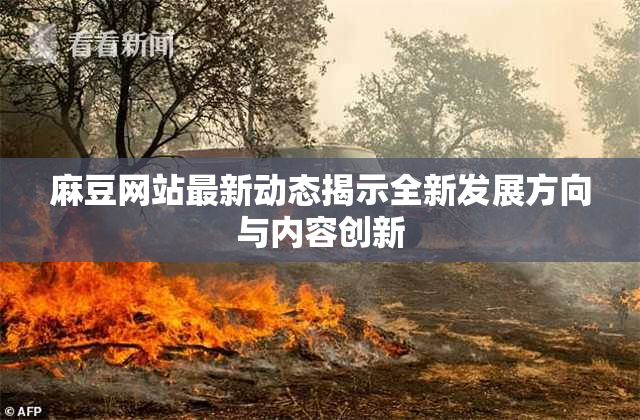 麻豆网站最新动态揭示全新发展方向与内容创新