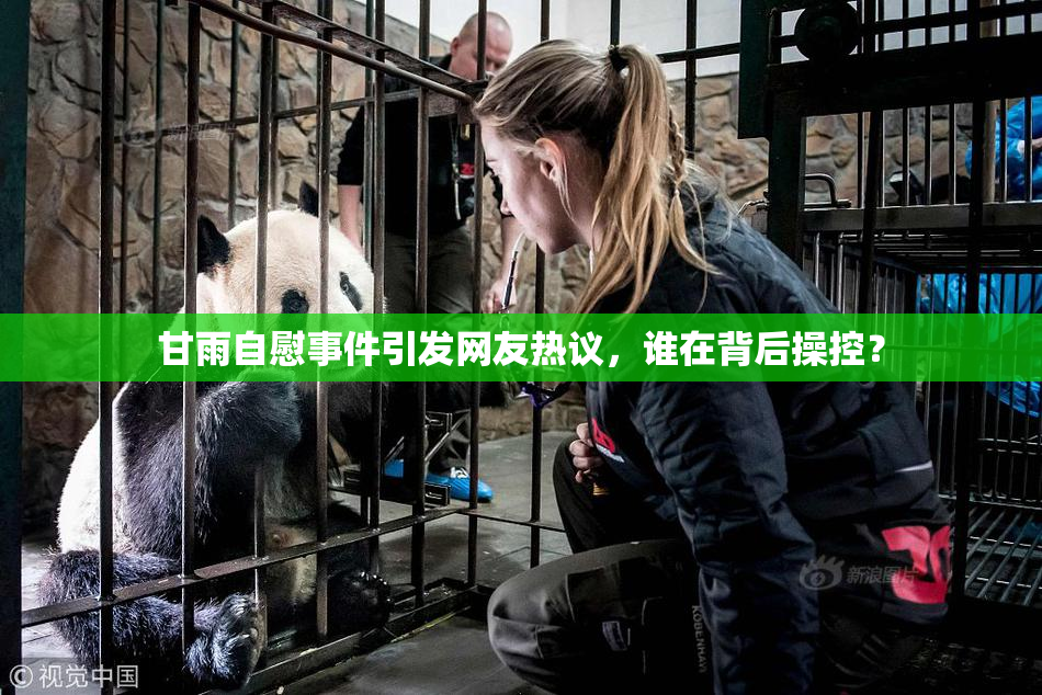 甘雨自慰事件引发网友热议，谁在背后操控？