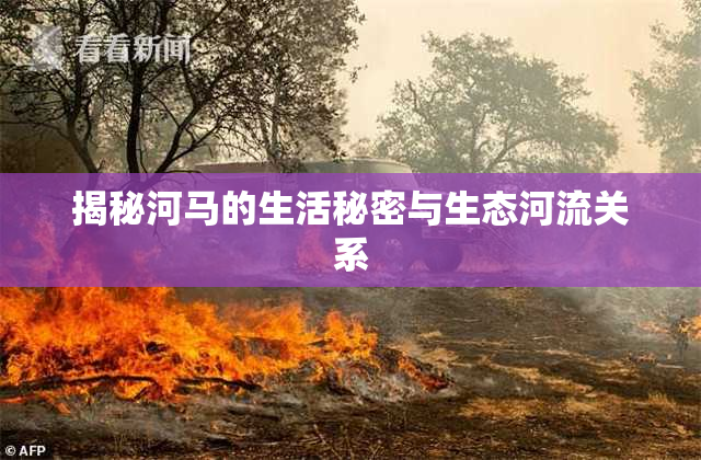 揭秘河马的生活秘密与生态河流关系