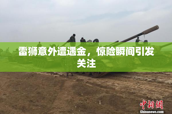 雷狮意外遭遇金，惊险瞬间引发关注