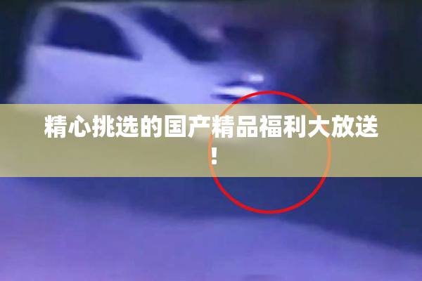 精心挑选的国产精品福利大放送！