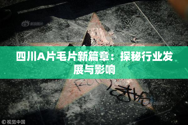 四川A片毛片新篇章：探秘行业发展与影响