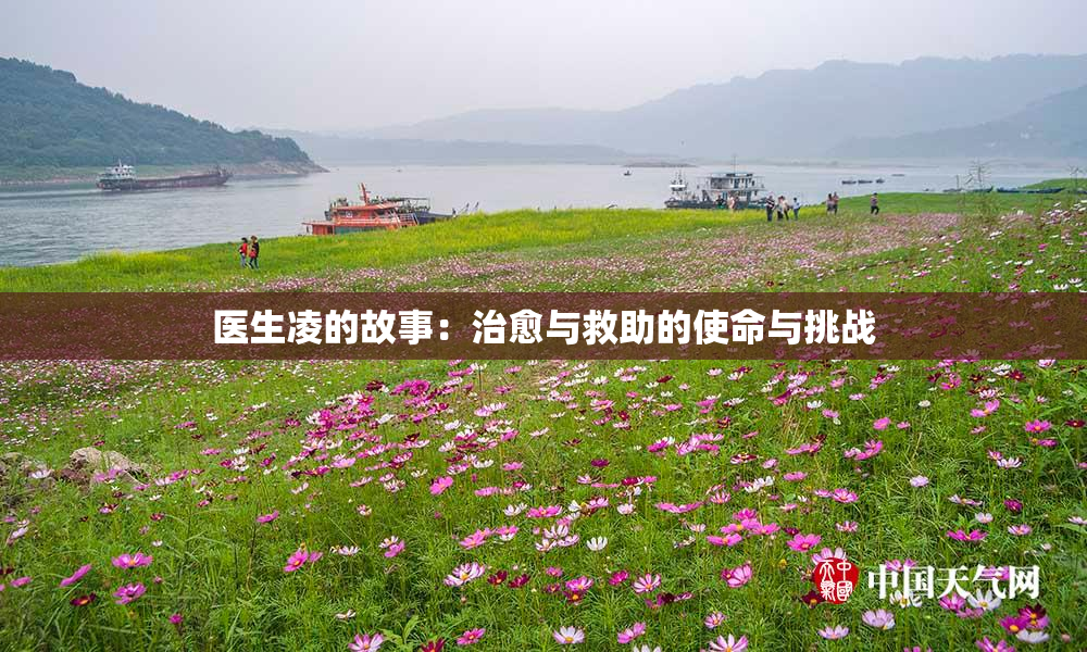 医生凌的故事：治愈与救助的使命与挑战