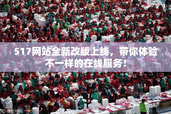 517网站全新改版上线，带你体验不一样的在线服务！