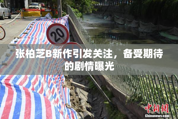 张柏芝B新作引发关注，备受期待的剧情曝光
