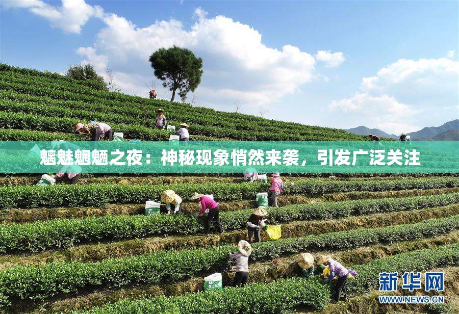 魑魅魍魉之夜：神秘现象悄然来袭，引发广泛关注
