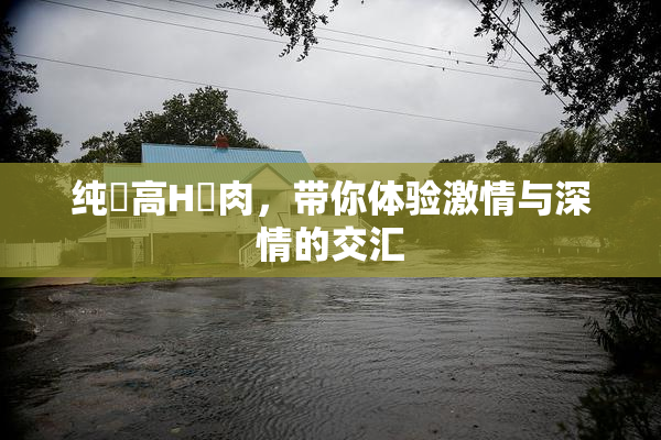 纯愛高H純肉，带你体验激情与深情的交汇