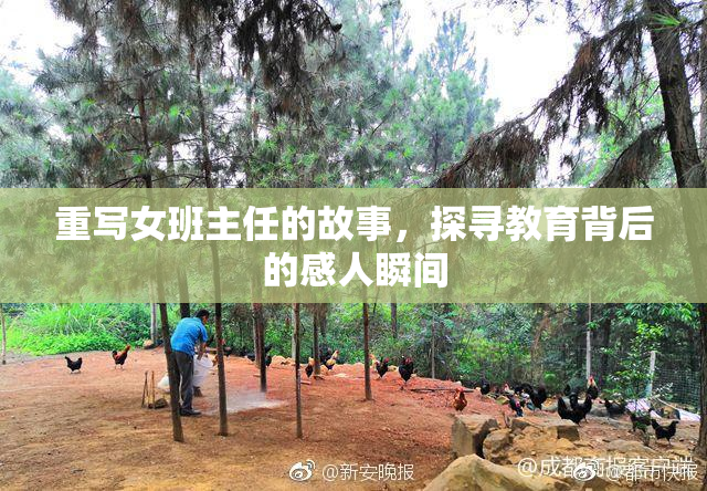 重写女班主任的故事，探寻教育背后的感人瞬间