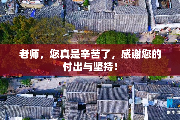 老师，您真是辛苦了，感谢您的付出与坚持！