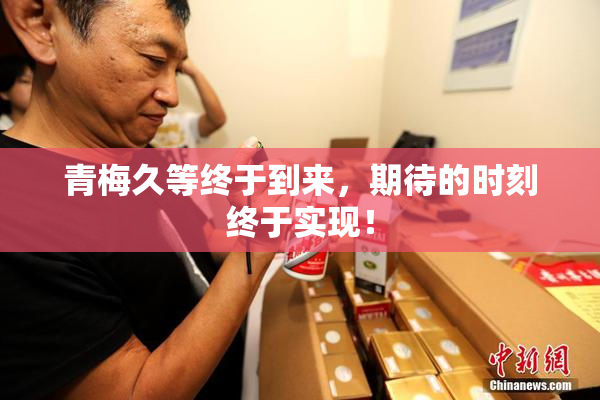 青梅久等终于到来，期待的时刻终于实现！