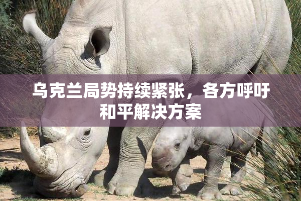 乌克兰局势持续紧张，各方呼吁和平解决方案