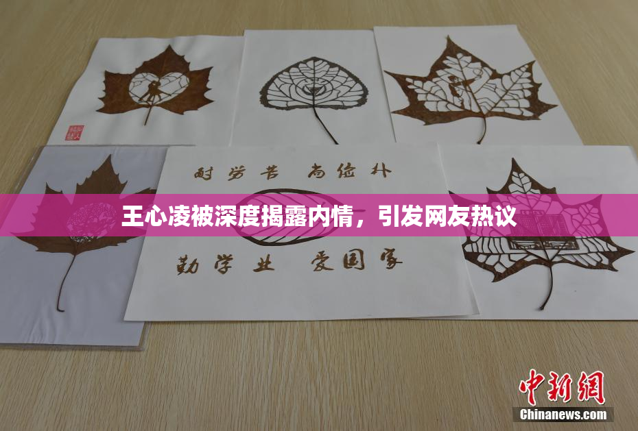 王心凌被深度揭露内情，引发网友热议
