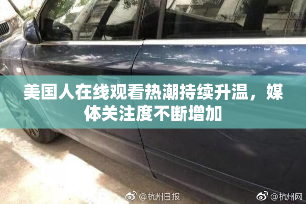 美国人在线观看热潮持续升温，媒体关注度不断增加