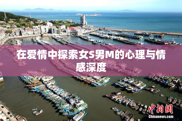 在爱情中探索女S男M的心理与情感深度