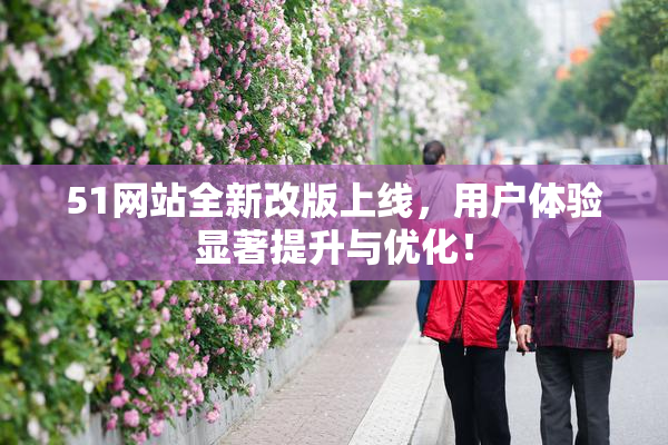 51网站全新改版上线，用户体验显著提升与优化！