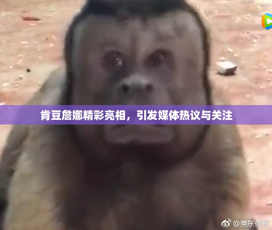 肯豆詹娜精彩亮相，引发媒体热议与关注