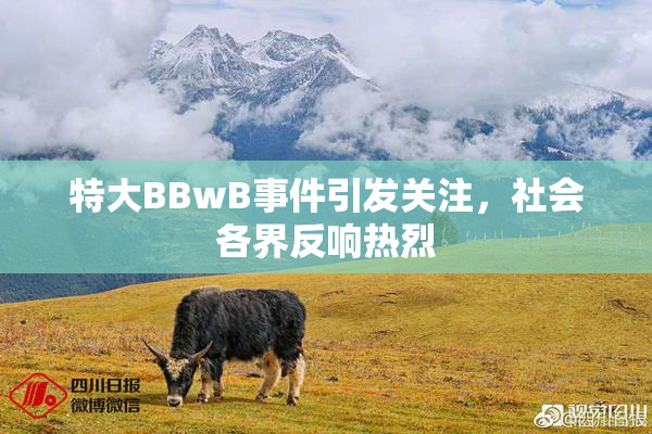 特大BBwB事件引发关注，社会各界反响热烈