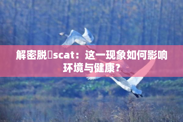解密脱糞scat：这一现象如何影响环境与健康？