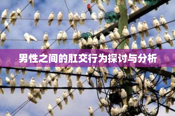 男性之间的肛交行为探讨与分析