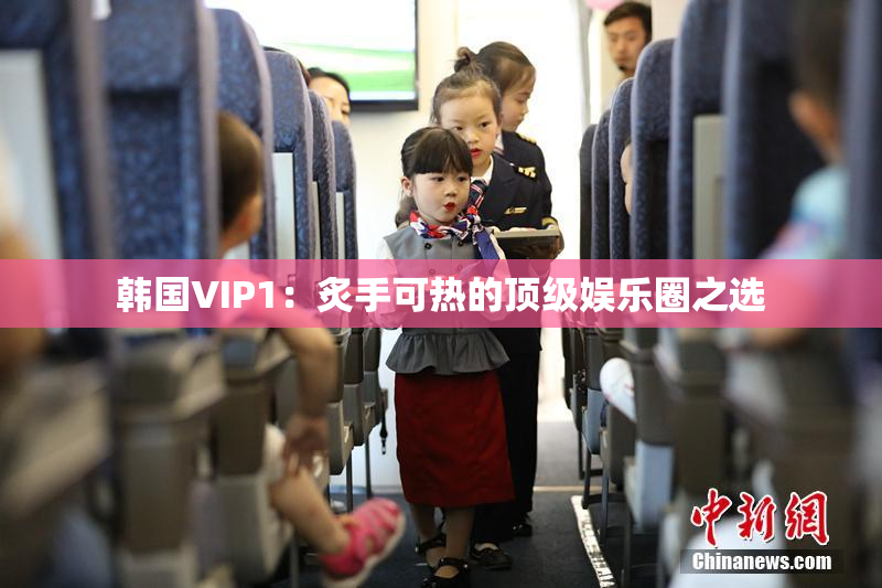 韩国VIP1：炙手可热的顶级娱乐圈之选