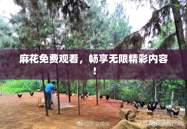 麻花免费观看，畅享无限精彩内容！