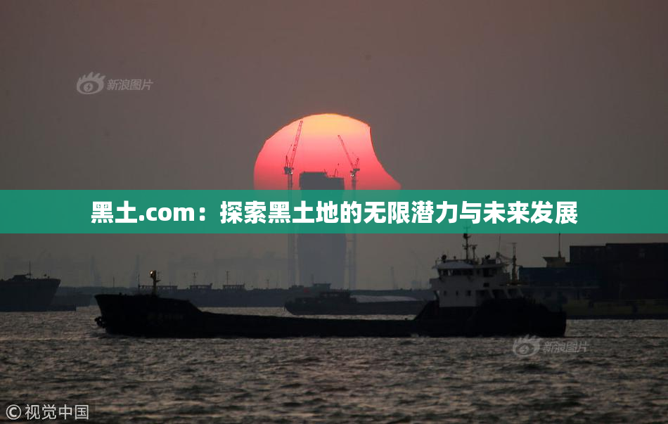 黑土.com：探索黑土地的无限潜力与未来发展