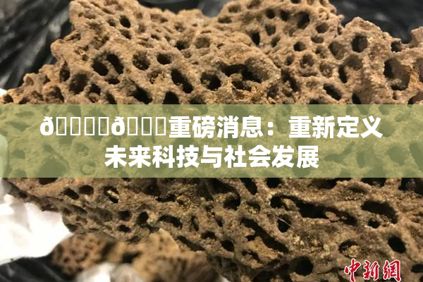 🔞‌🍌重磅消息：重新定义未来科技与社会发展