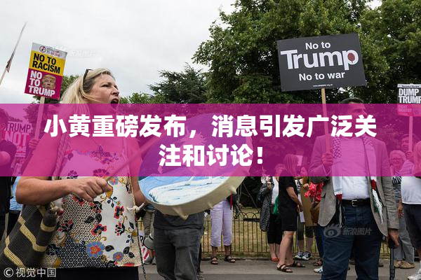 小黄重磅发布，消息引发广泛关注和讨论！