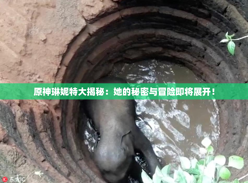 原神琳妮特大揭秘：她的秘密与冒险即将展开！