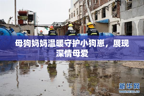 母狗妈妈温暖守护小狗崽，展现深情母爱