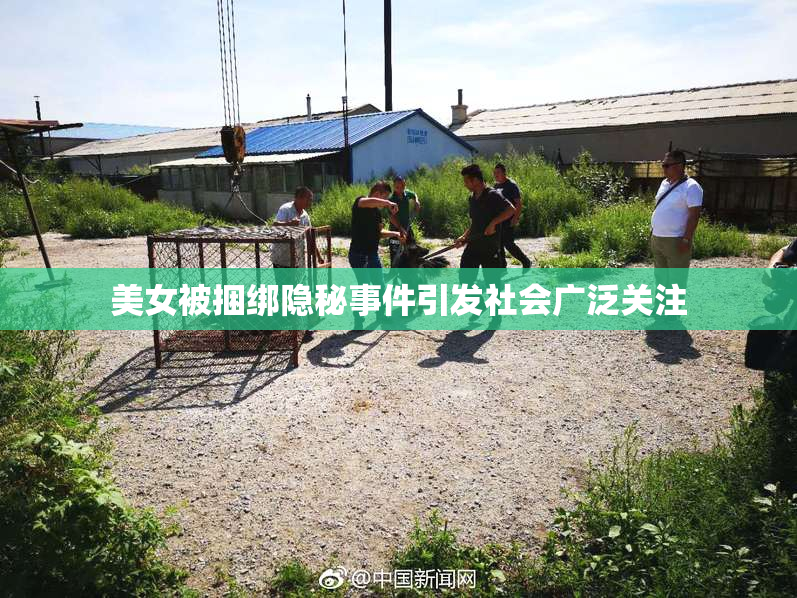 美女被捆绑隐秘事件引发社会广泛关注