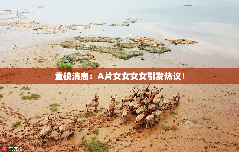 重磅消息：A片女女女女引发热议！