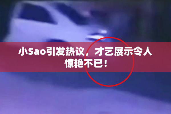 小Sao引发热议，才艺展示令人惊艳不已！