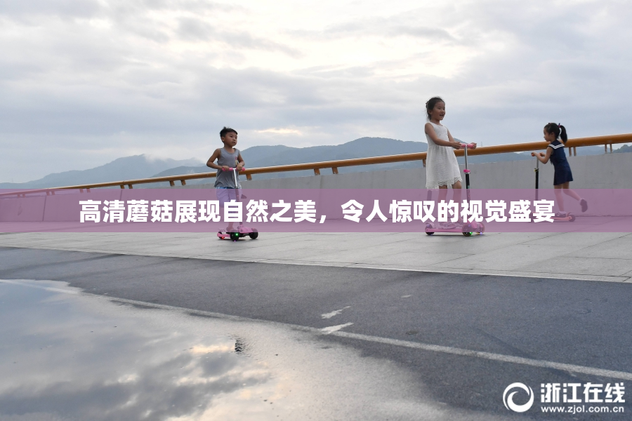高清蘑菇展现自然之美，令人惊叹的视觉盛宴