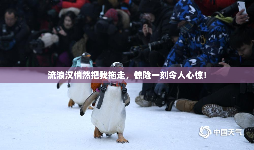 流浪汉悄然把我拖走，惊险一刻令人心惊！