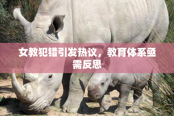 女教犯错引发热议，教育体系亟需反思