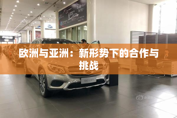 欧洲与亚洲：新形势下的合作与挑战