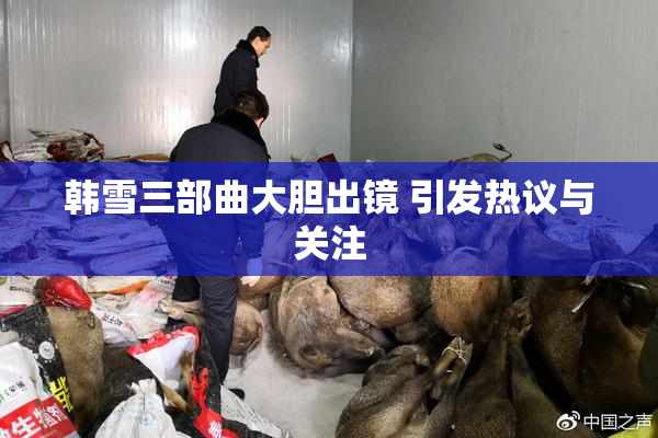 韩雪三部曲大胆出镜 引发热议与关注