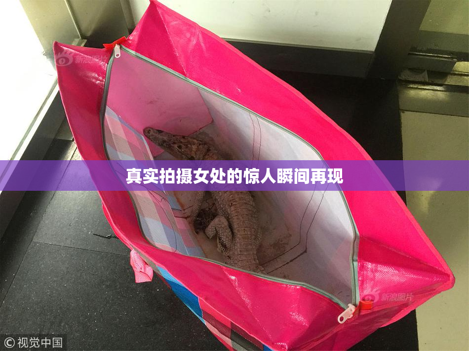 真实拍摄女处的惊人瞬间再现