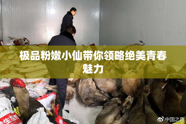 极品粉嫩小仙带你领略绝美青春魅力