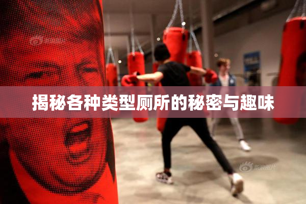 揭秘各种类型厕所的秘密与趣味