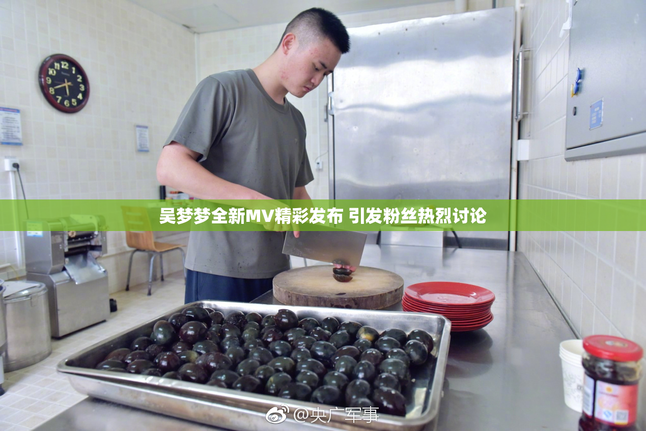吴梦梦全新MV精彩发布 引发粉丝热烈讨论