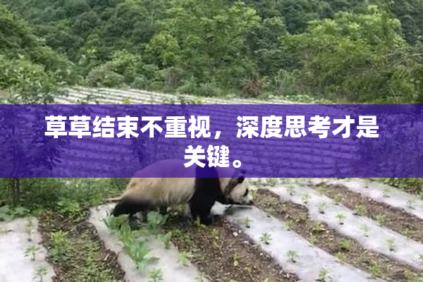 草草结束不重视，深度思考才是关键。