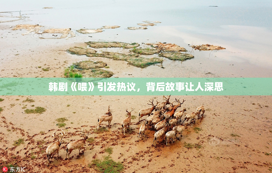 韩剧《喂》引发热议，背后故事让人深思