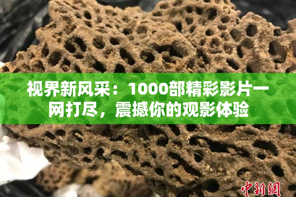 视界新风采：1000部精彩影片一网打尽，震撼你的观影体验