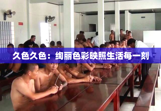 久色久色：绚丽色彩映照生活每一刻