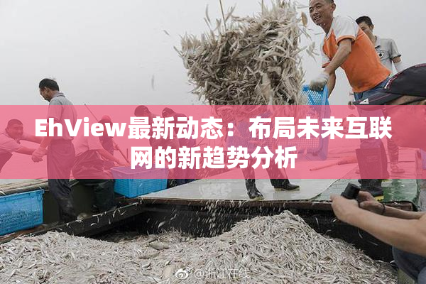 EhView最新动态：布局未来互联网的新趋势分析