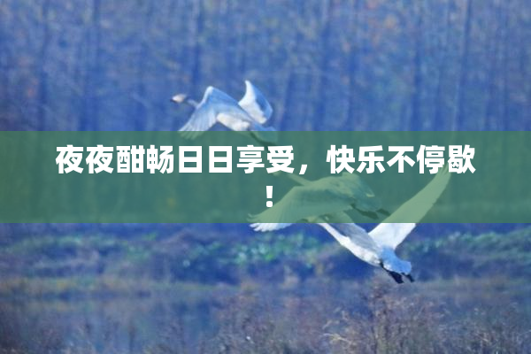 夜夜酣畅日日享受，快乐不停歇！