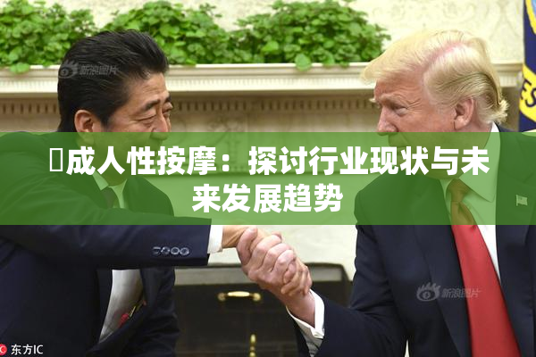 巜成人性按摩：探讨行业现状与未来发展趋势
