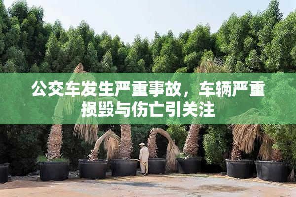 公交车发生严重事故，车辆严重损毁与伤亡引关注